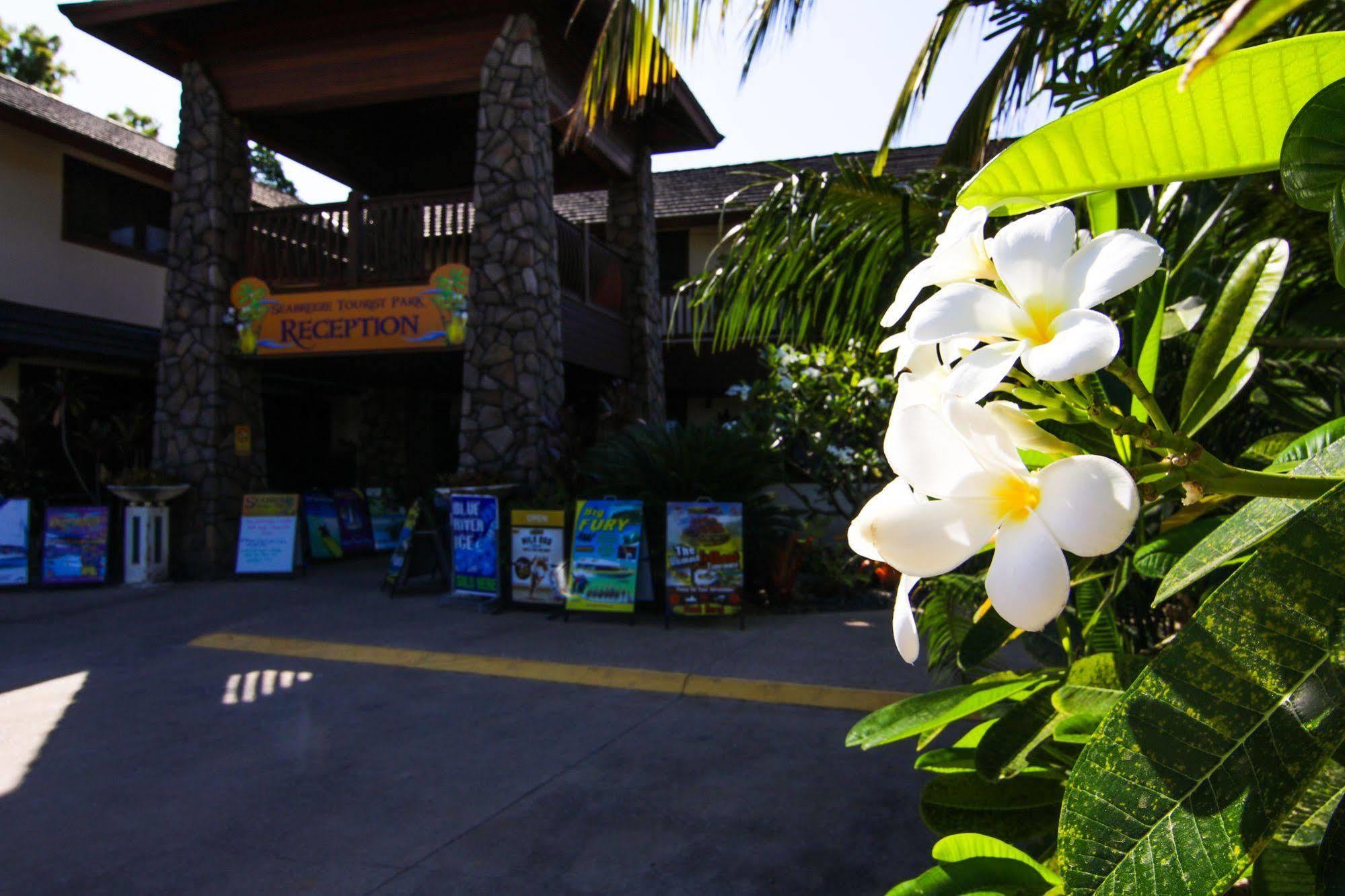 Nrma Airlie Beach Holiday Park Exteriör bild